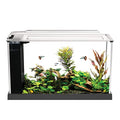 Fluval SPEC Freshwater Aquarium Kit, Aquarium with LED Lighting and 3-Stage Filtration