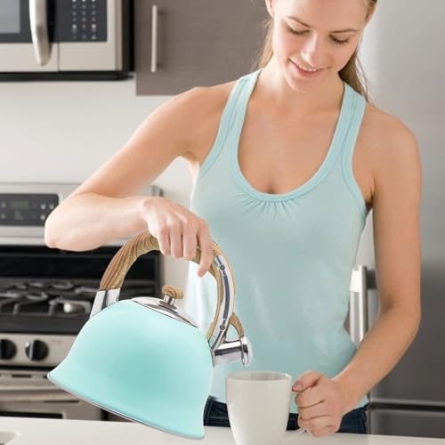 Stainless Steel Whistling Tea Kettle with Cool Touch Handle for Stovetop P9316