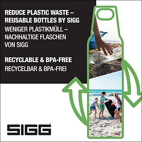 SIGG Thermo Flask Hot & Cold ONE Insulated Bottle with Tea Filter, Stainless Steel, 10/17 Oz X6033