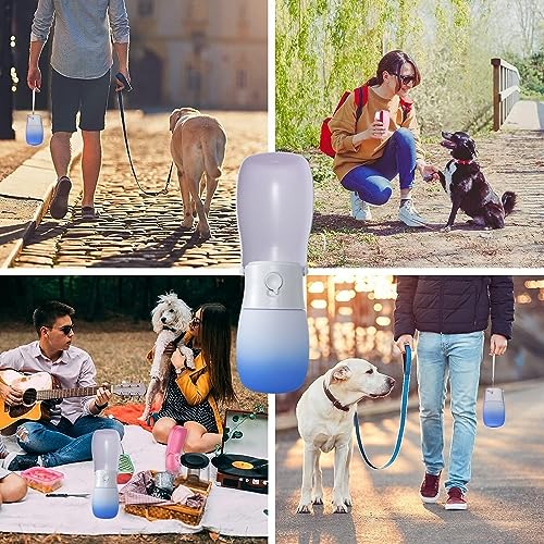 Portable Dog Water Bottle with Activated Carbon Filter, Leak Proof, 10 oz M66324