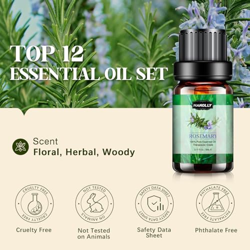 Essential Oils Set P167457