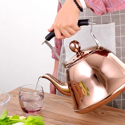 Stainless Steel Whistling Tea Kettle for Stovetop F121460