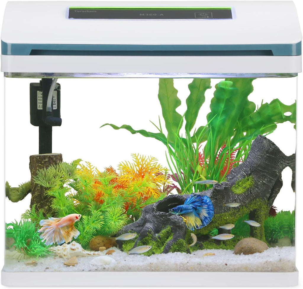 Betta Fish Tank 5 Gallon Self Cleaning Glass Aquarium Fish Tank Kit with LED Light & Filters Set Up Aquarium Starter Kit Large Nano Self Cleaning for Shrimp Goldfish Desktop Office Home Room Decor