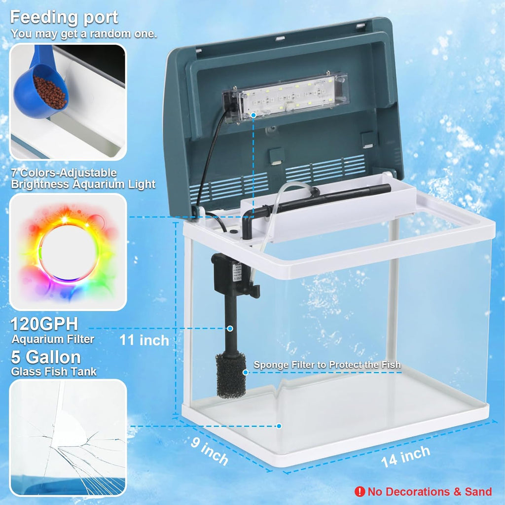 Betta Fish Tank 5 Gallon Self Cleaning Glass Aquarium Kit with LED Light & Filter Z882