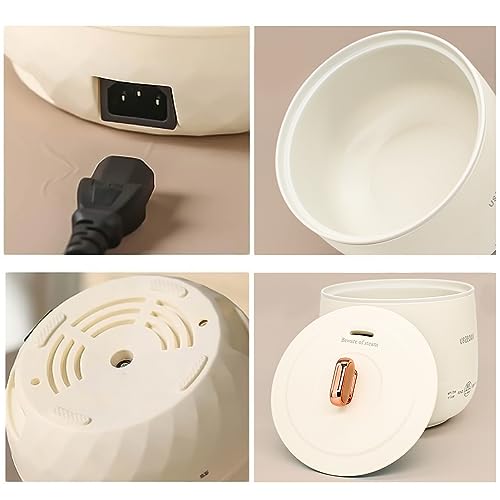 Mini Rice Cooker Portable Stainless Steel Inner Pot P484910