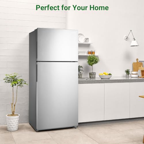 Smad Top Freezer Refrigerator Stainless Steel C6435
