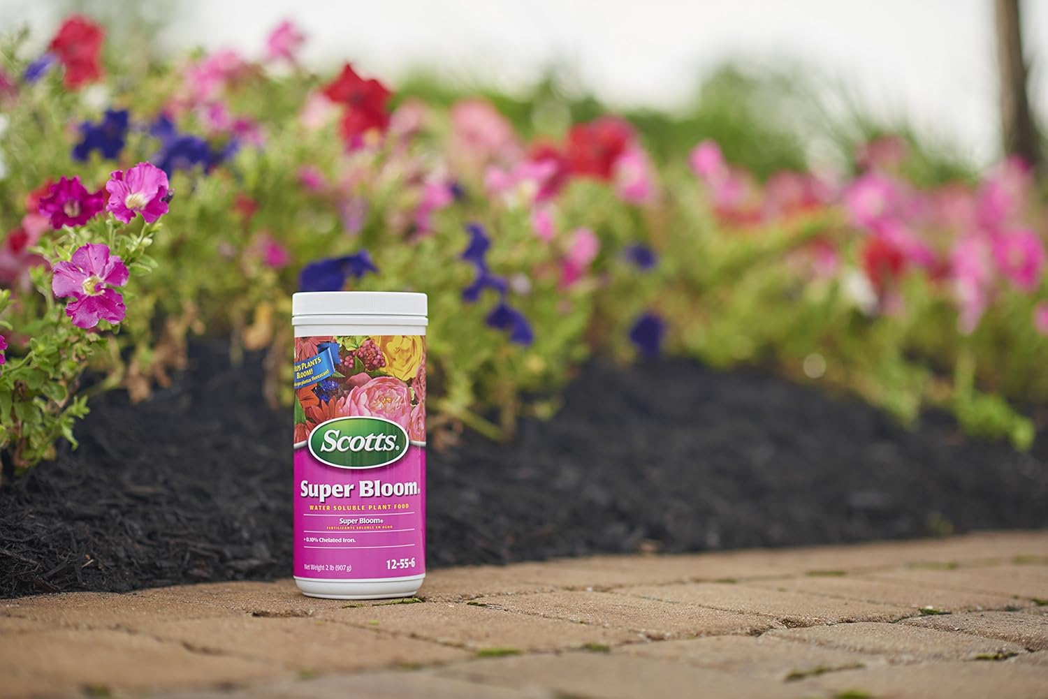 Scotts Super Bloom Water Soluble Plant Food, 2 lb K99049