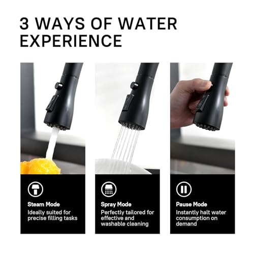 WEWE Kitchen Sink Faucet Single Handle I189668