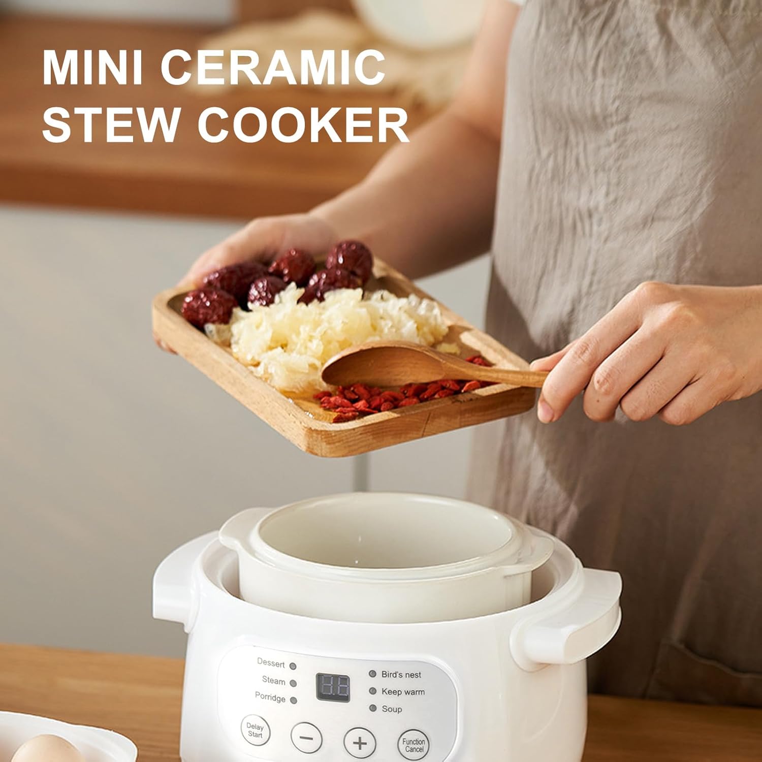 Mini Ceramic Stew Cooker Electric Soup Pot with PTC Heating F928