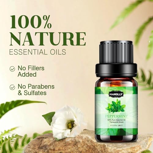 Essential Oils Set P167457