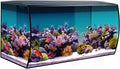 Fluval Flex 32.5 Marine Salt Water Aquarium Kit - Fish Tank for Fish, Coral & More - Comes with LED Lights, Filtration System & More - 32.5" x 15.75" x 15.35" - 123 L, 32.5 Gal. - Black