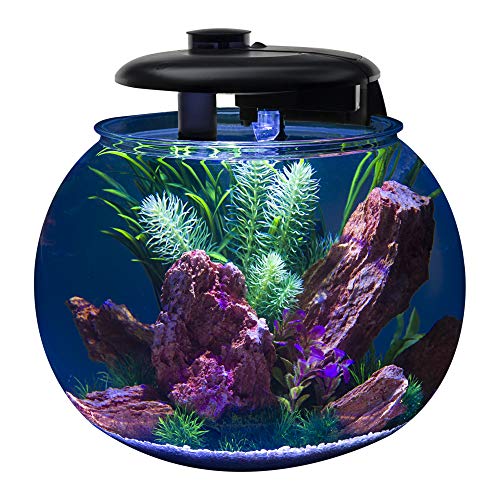 Penn-Plax AquaSphere 360 Large Bowl-Shaped Aquarium with Filtration and LED Light A959184