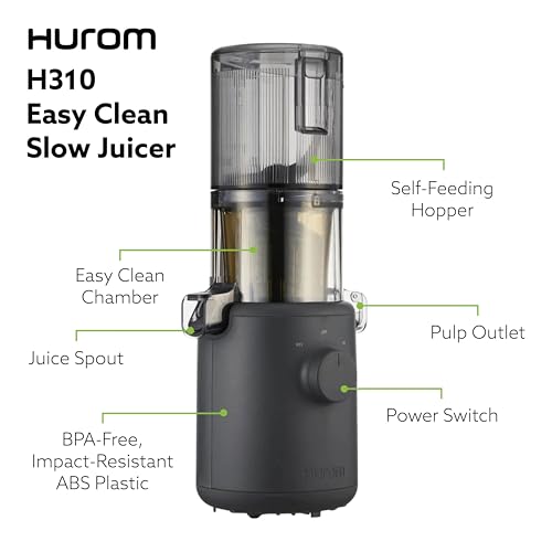 Hurom H310A Slow Masticating Juicer H17085