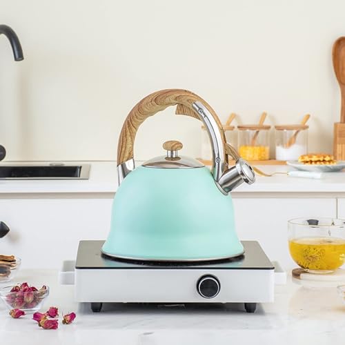 Stainless Steel Whistling Tea Kettle with Cool Touch Handle for Stovetop P9316