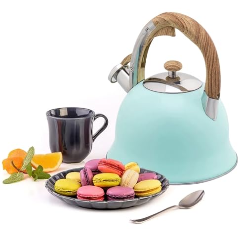 Stainless Steel Whistling Tea Kettle with Cool Touch Handle for Stovetop P9316
