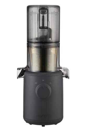 Hurom H310A Personal Self Feeding Slow Masticating Juicer