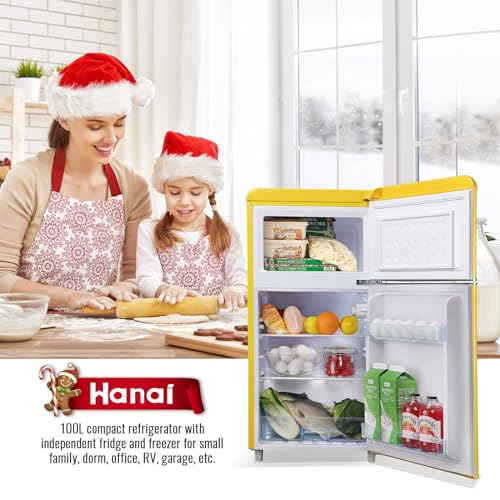 WANAI mini fridge with freezer dual door O19920