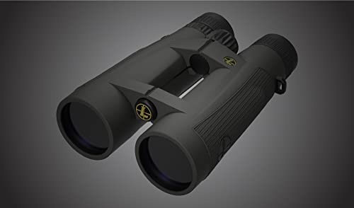 Leupold BX-5 Santiam HD Binoculars G463