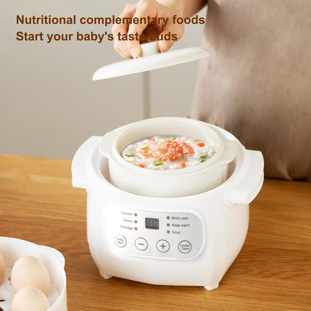 Mini Ceramic Stew Cooker Electric Soup Pot with PTC Heating F928