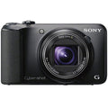 Sony Cyber-shot DSC-H90 16.1 MP Digital Camera with 16x Optical Zoom and 3.0-inch LCD