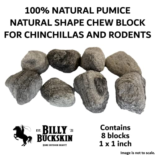 Volcanic Pumice Chinchilla Chew Block by Billy Buckskin Co. F565959