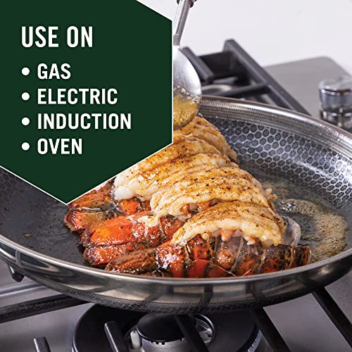 HexClad 10 Inch Hybrid Stainless Steel Frying Pan S561