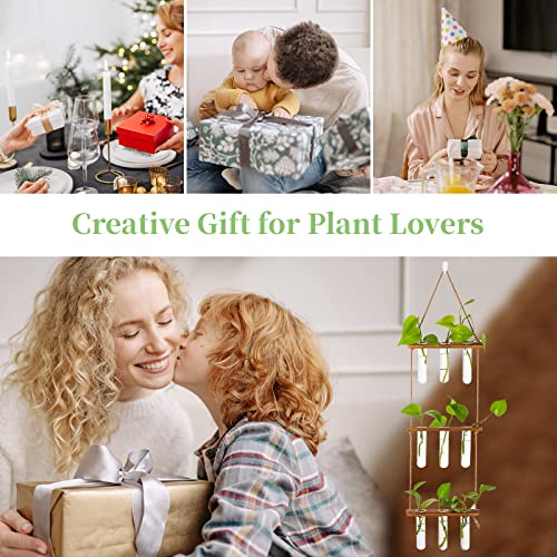 Hanging Plant Propagation Stations with Wooden Stand Glass Vases V66079