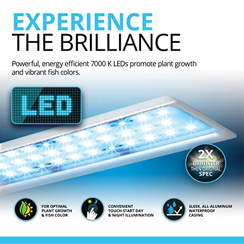 Fluval SPEC Freshwater Aquarium Kit with LED Lighting and 3-Stage Filtration M9441