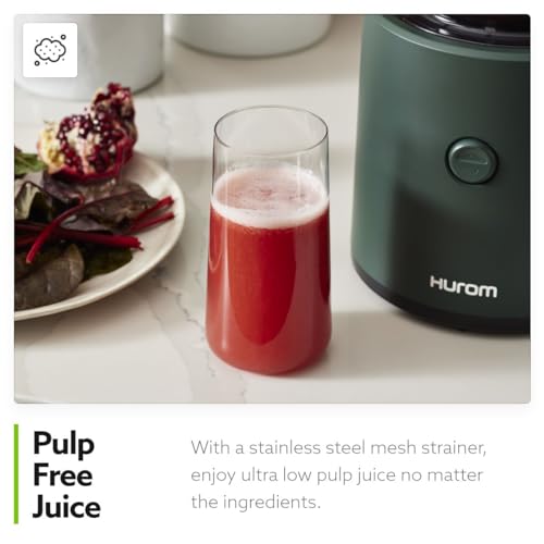 Hurom H320 Slow Juicer Cold Press Masticating Juicer V8909
