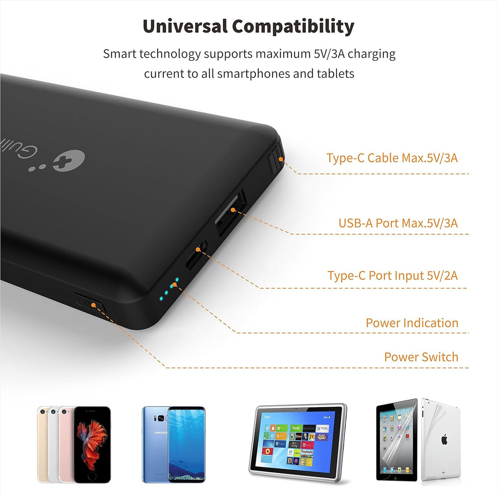 Portable Power Bank 10000mAh for Nintendo Switch and Smartphone Q580