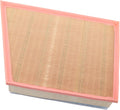 ACDelco GM Original Equipment A3141C Air Filter