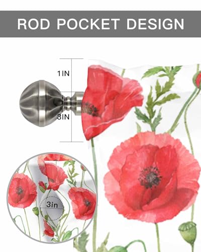 BUWOOGER Rod Pocket Window Valances Watercolor Red Poppy Flower White Short Kitchen Curtains 54x18IN, 1 Panel P92331
