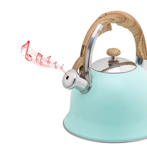 Stainless Steel Whistling Tea Kettle with Cool Touch Handle for Stovetop P9316