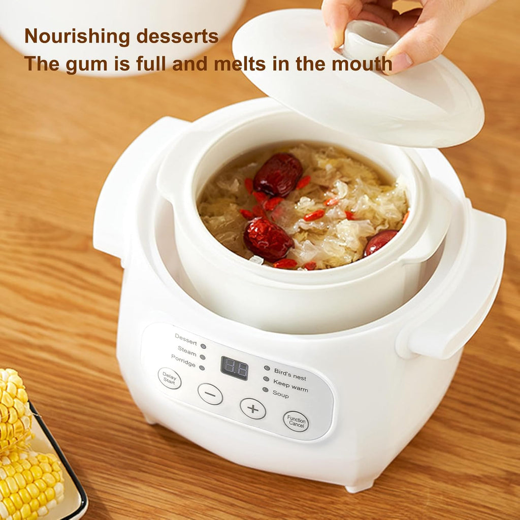 Mini Ceramic Stew Cooker Electric Soup Pot with PTC Heating F928