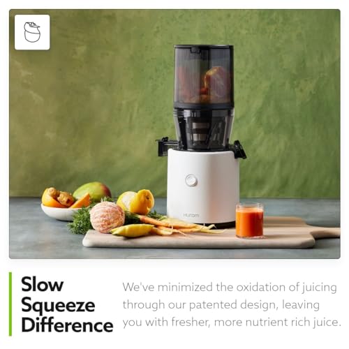 Hurom H320 Slow Juicer Cold Press Masticating Juicer V8909